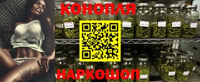 гидра Заводоуковск