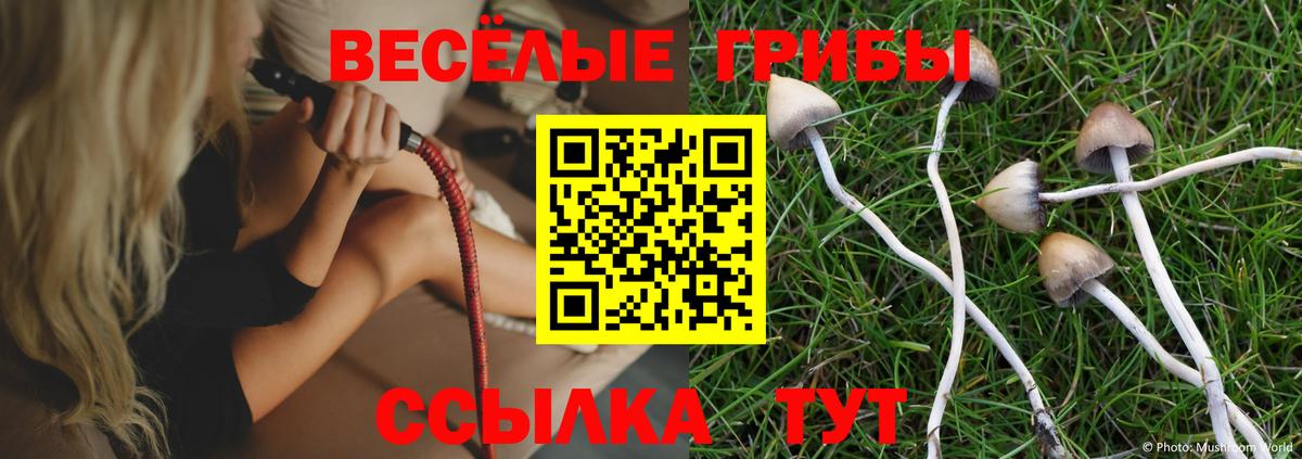 Галлюциногенные грибы Psilocybine cubensis  Вход с VPN  Зеленокумск 