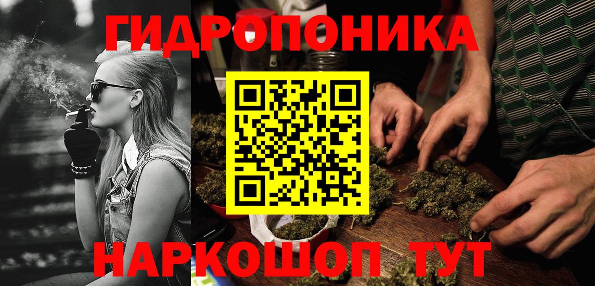 Бошки Шишки планчик  Марихуана планчик  Марихуана сатива  Вход с VPN  Зеленокумск 